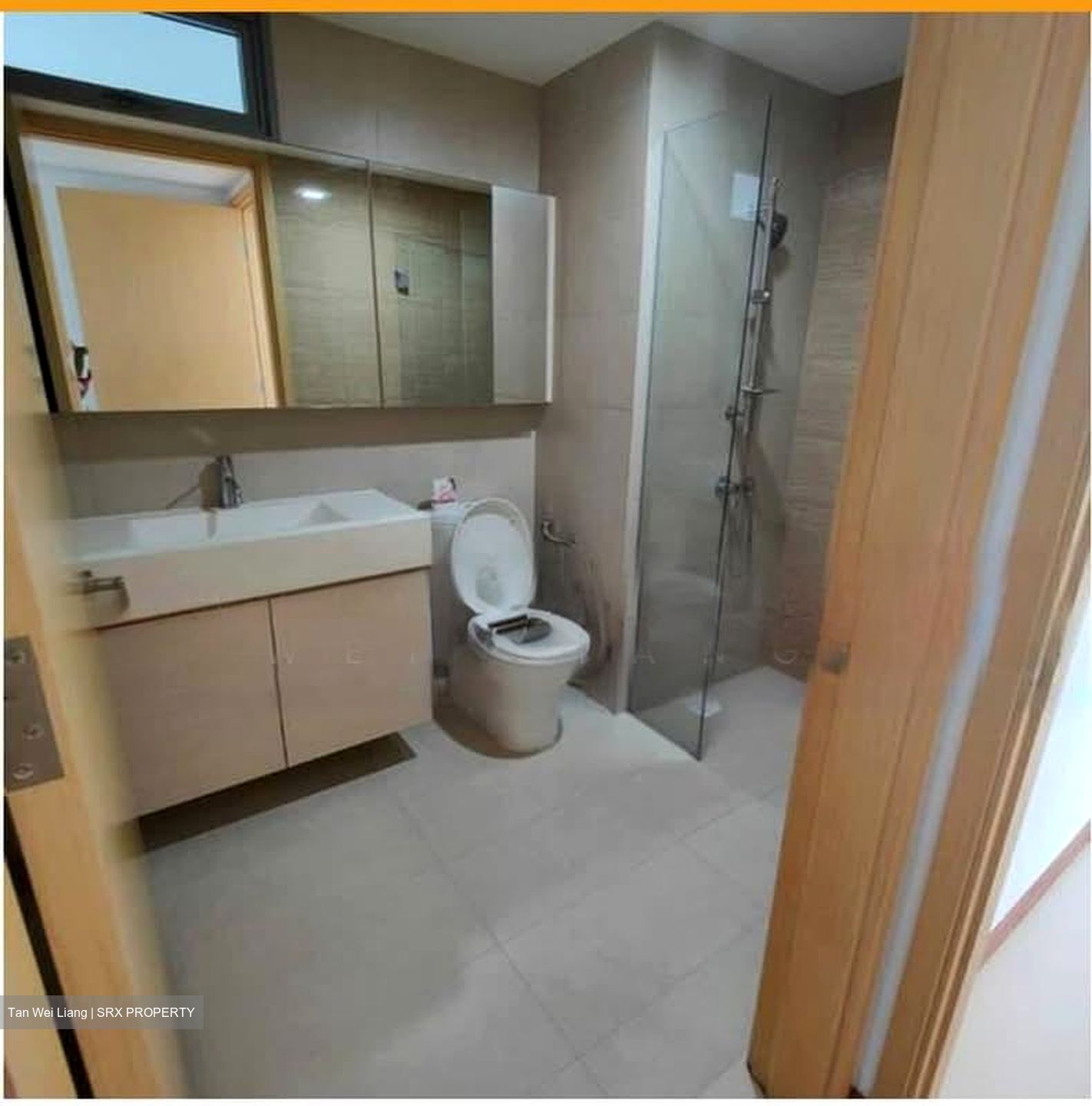 A Treasure Trove (D19), Condominium #582613851